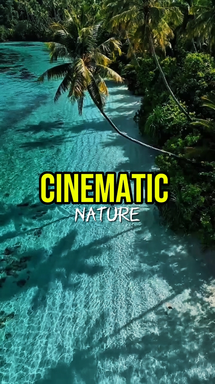 cinematic nature 