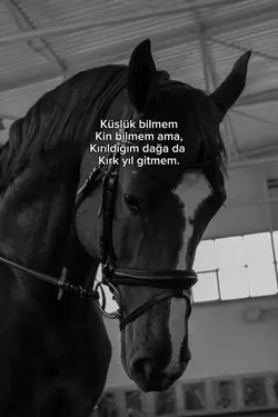 gitmem