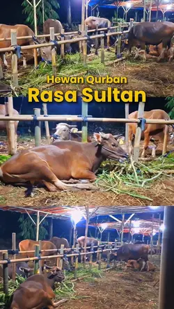 Hewan Qurban