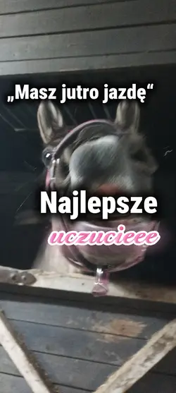 Najlepsze uczucieee