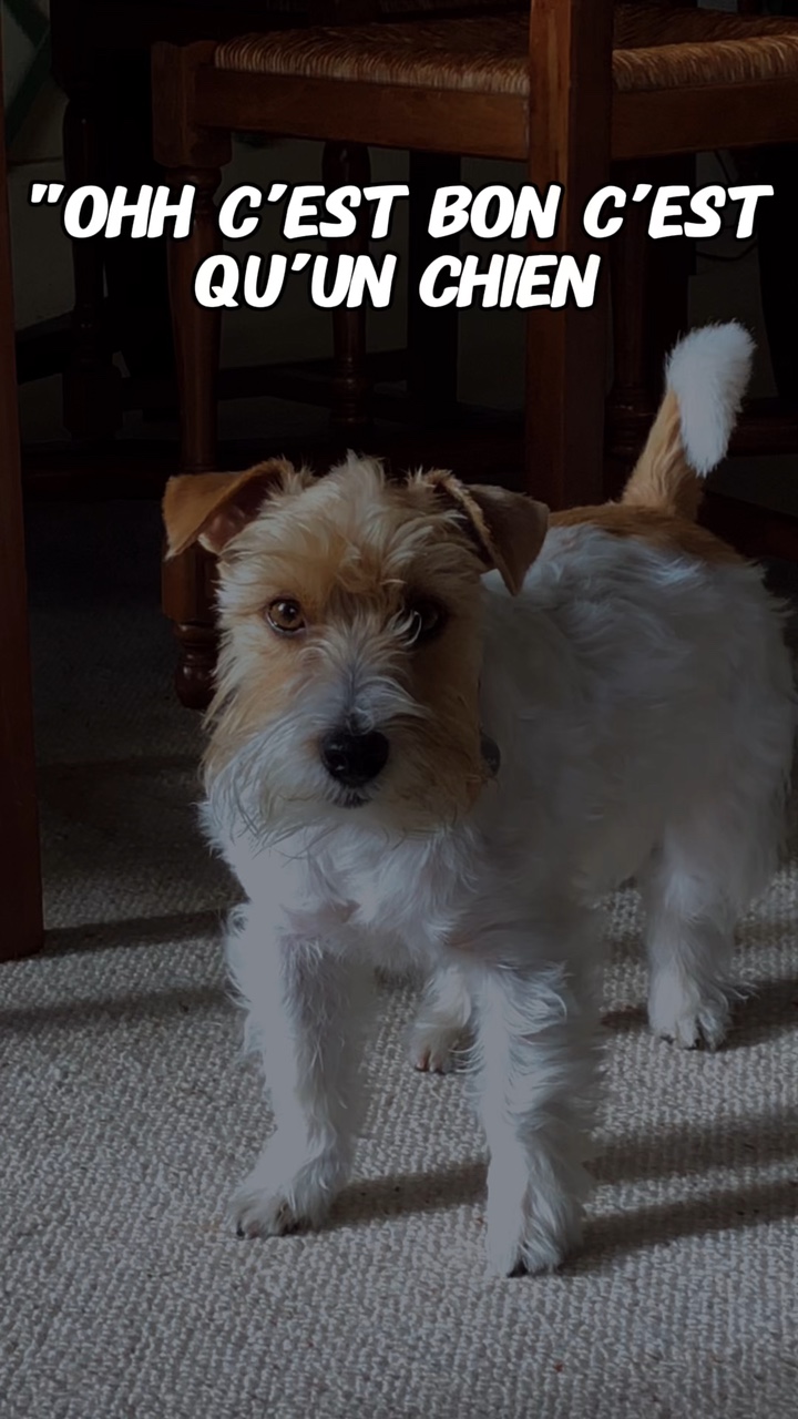 Toi t’es qu’un