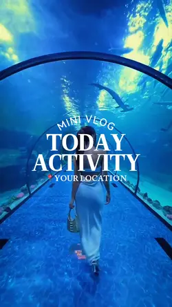 Mini Vlog’