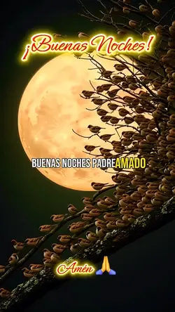 Buenas noches Dios 