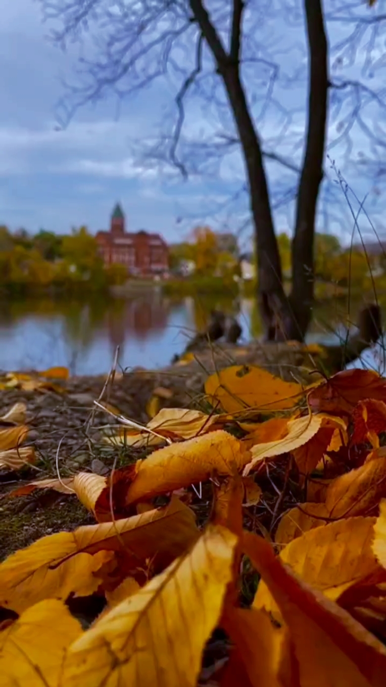 autumn vibes