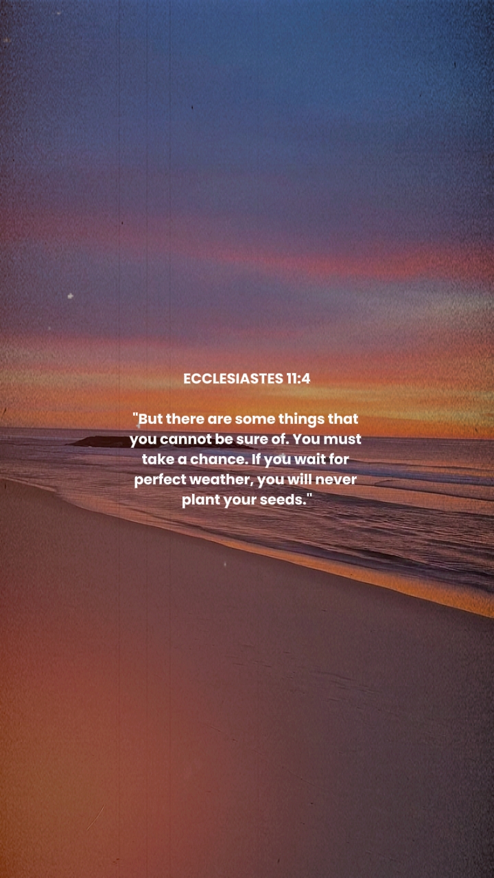 Ecclesiastes 11:4