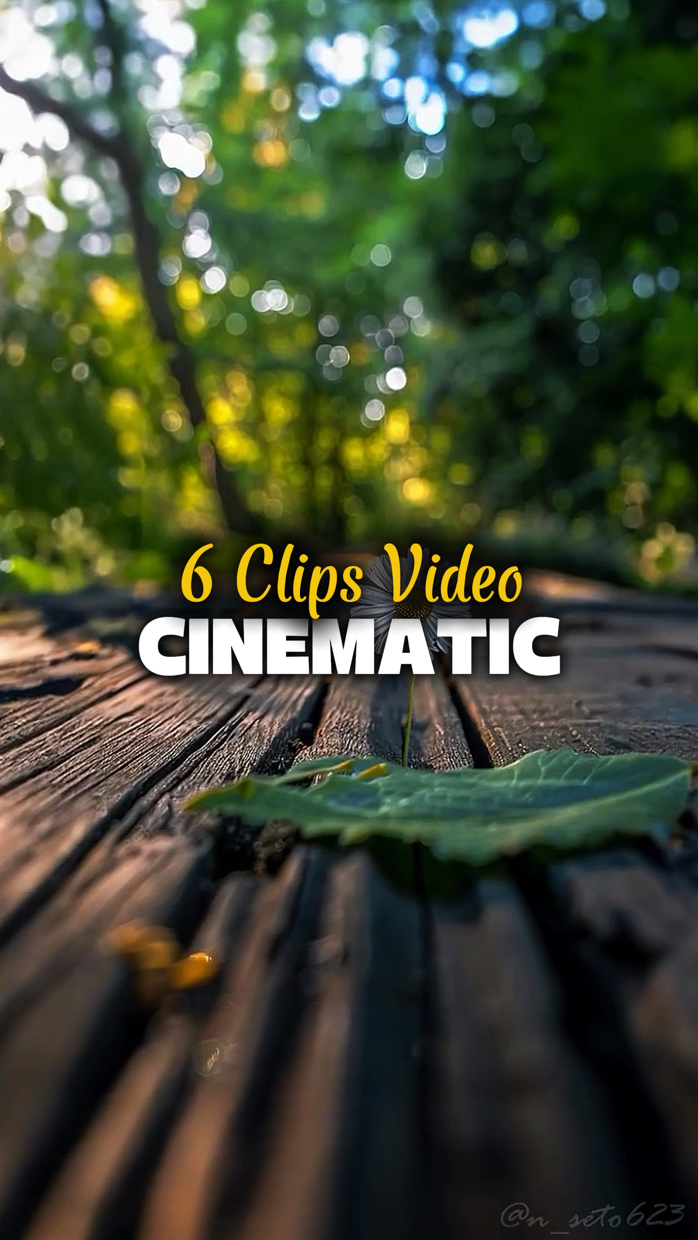 6 vidéos cinématiques 