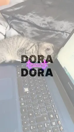 JJ DORA DORA