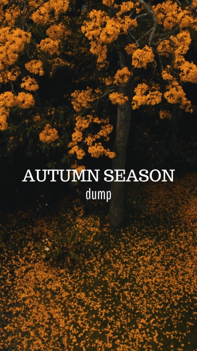 Autumn dump