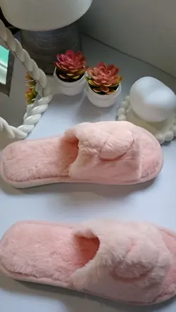 slipper