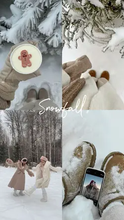 snowfall | grid