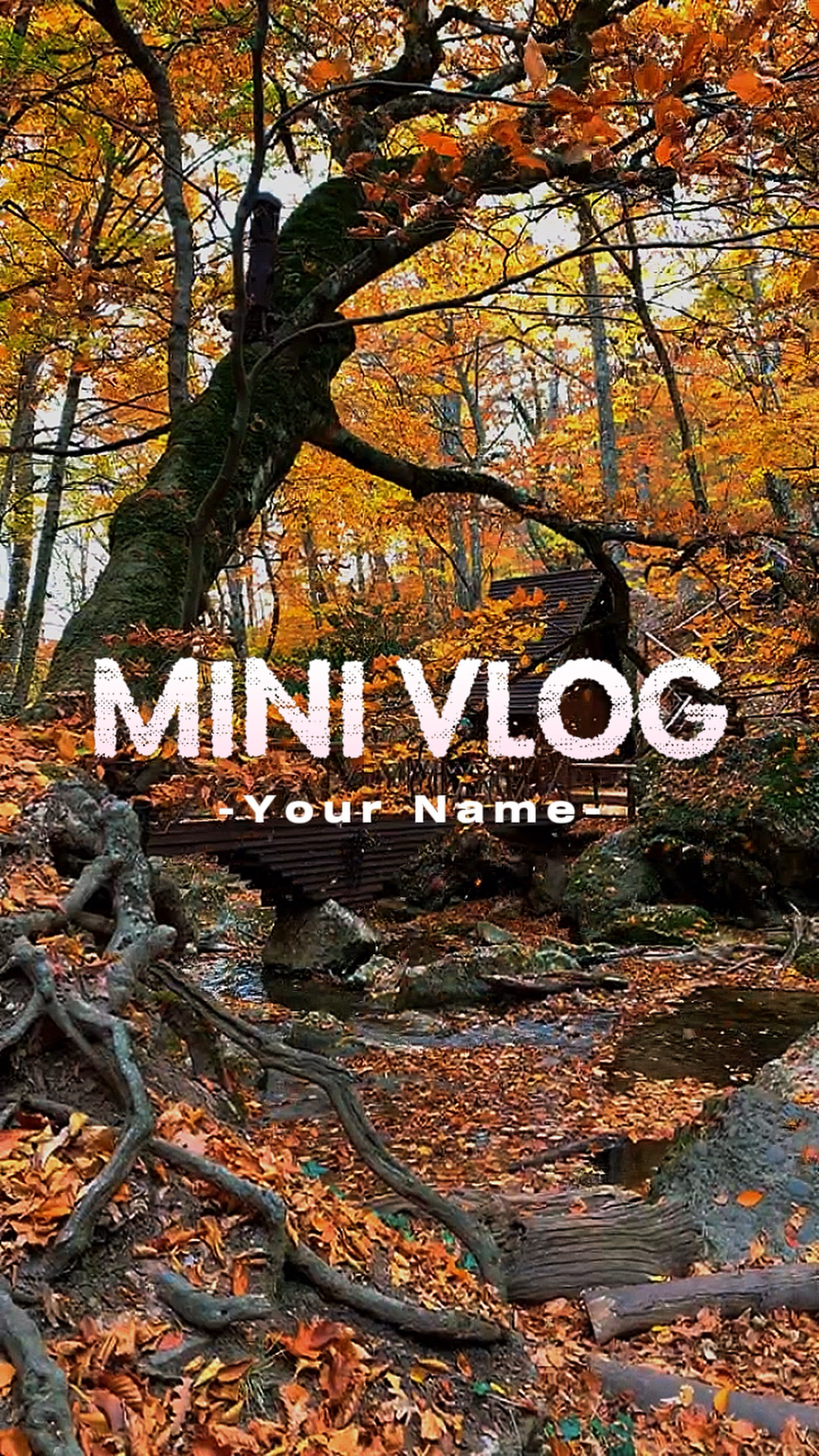 Cinematic Vlog