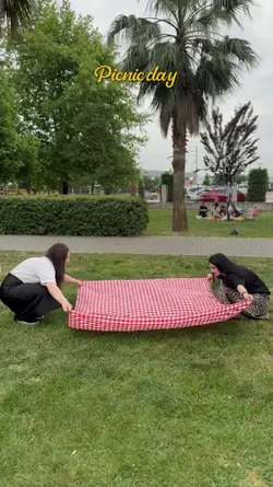 picnic day