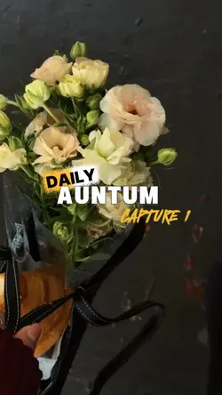 Daily auntum 