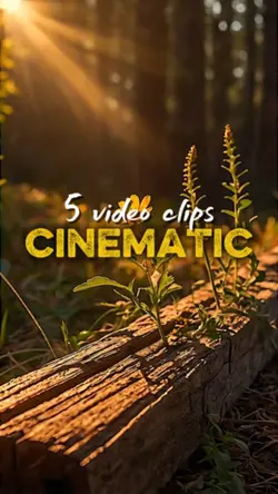 5 video clips
