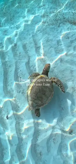 Bobo au cœur - Dadju