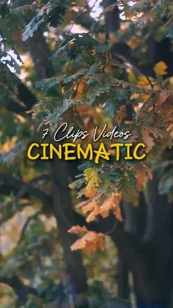 Cinematic 7 Videos