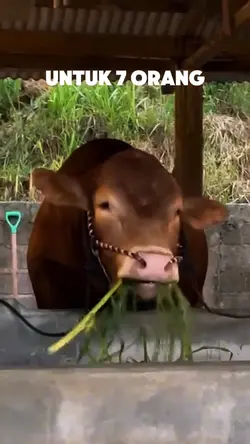 HARI RAYA 