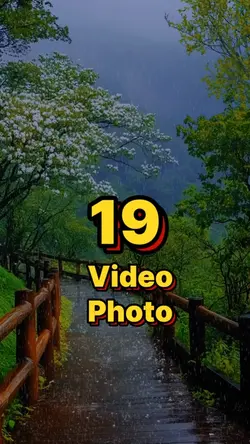 19 video or photo