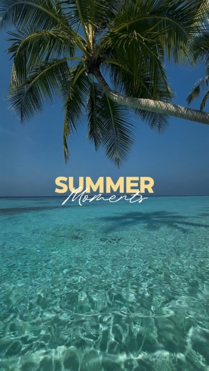 MOMENTOS DE VERANO