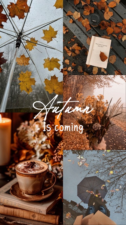 Autumn is coming