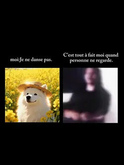 C'est tout à fait mo