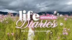 mini vlog simple 
