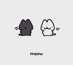 Trending Meow edit