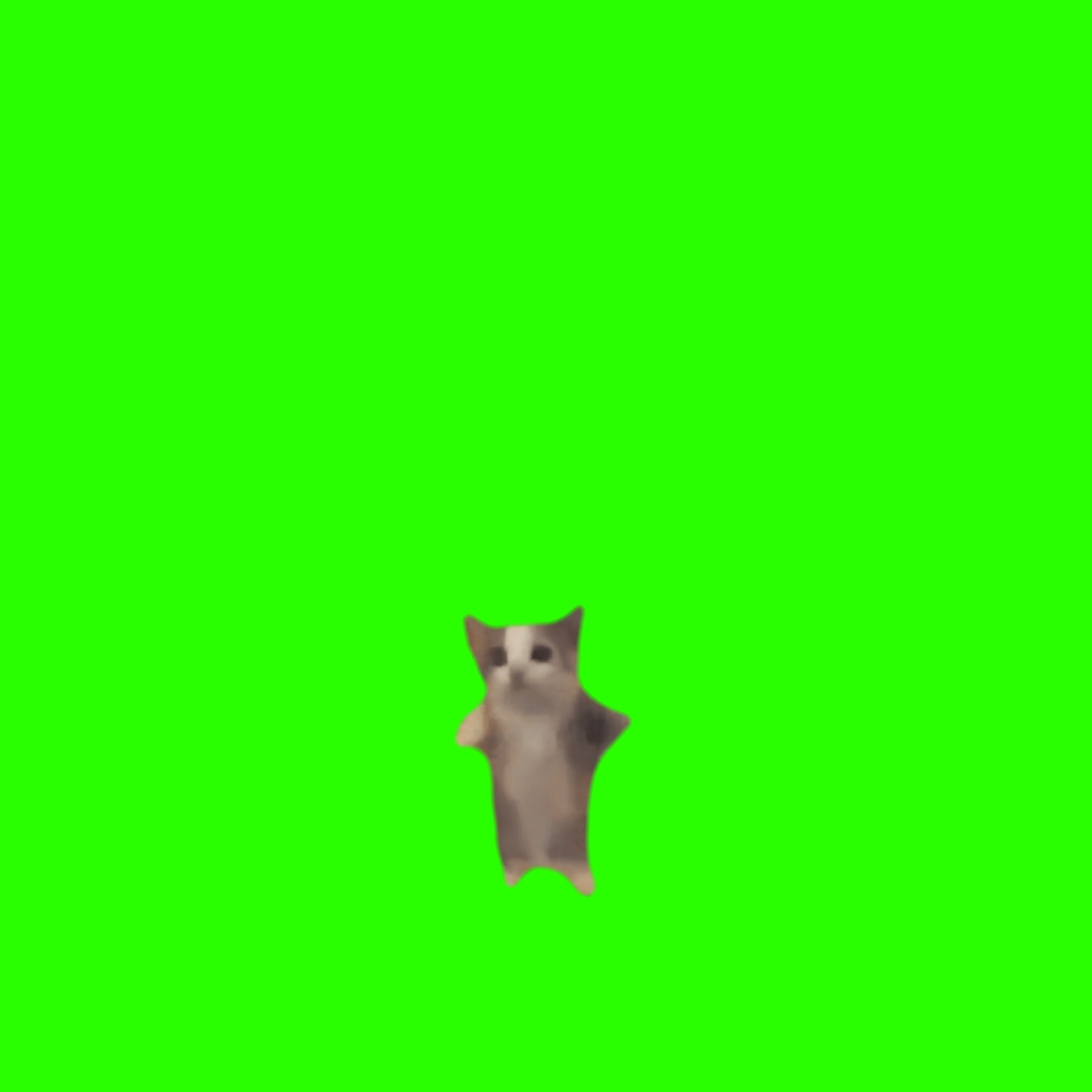 Glückliche glückliche Katze