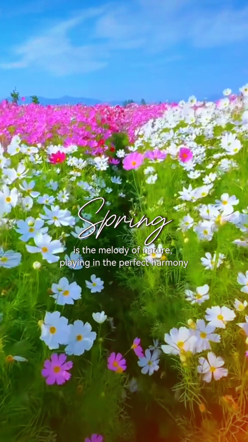 spring
