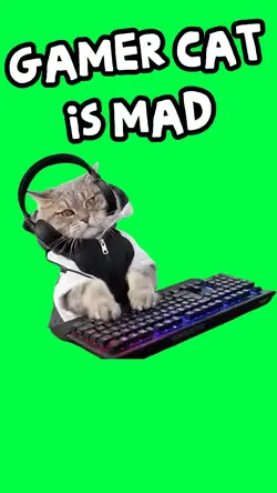 GAMER CAT IS MAD