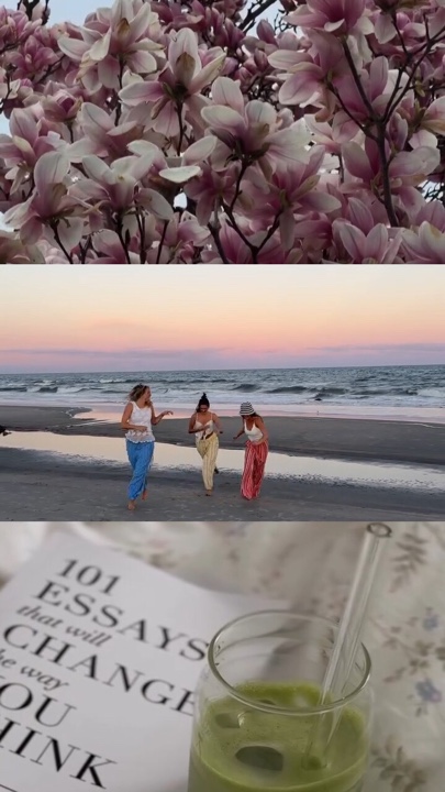 vidéo de grille