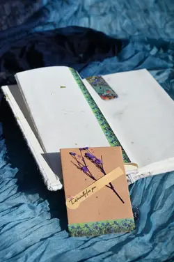 Quite growth journal