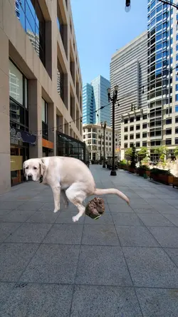 funny happy birthday