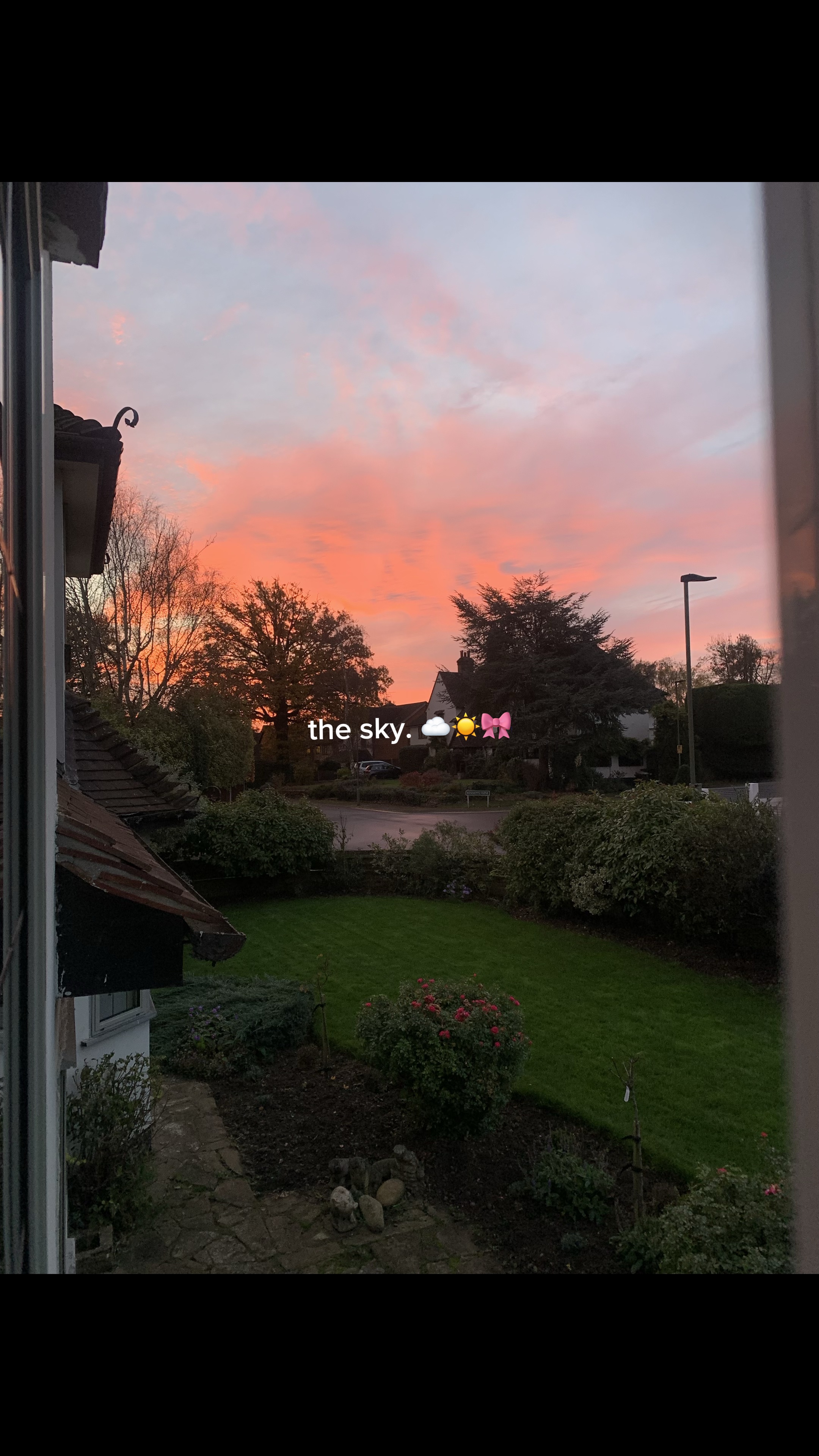 THE SKY