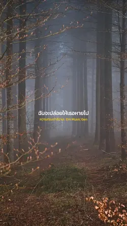 ความทรงจำสีจาง