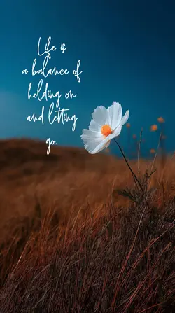 life is…