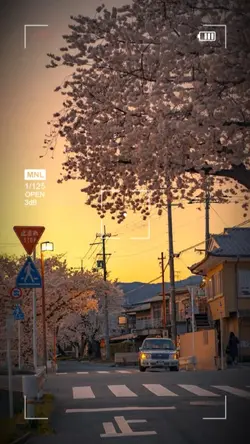 シャッター切るよ 3.2.1📸