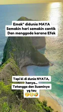 fbpro lucu 