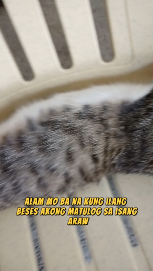 Kain, tulog lang