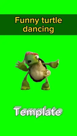 Funny turtle dancing