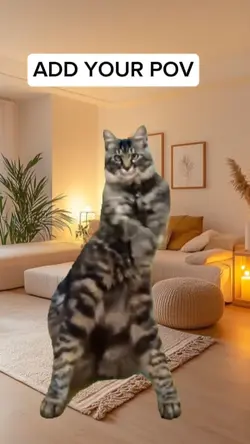 DANCING CAT