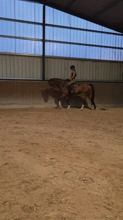 slowmo| Hühnchen