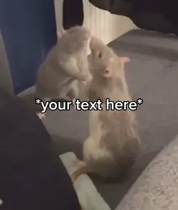 Two rats fighting