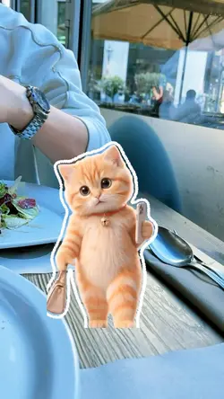 cat trend
