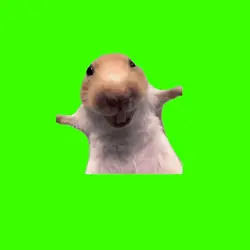 rat laugh ver1:1