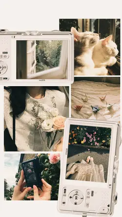 Aesthetic frame