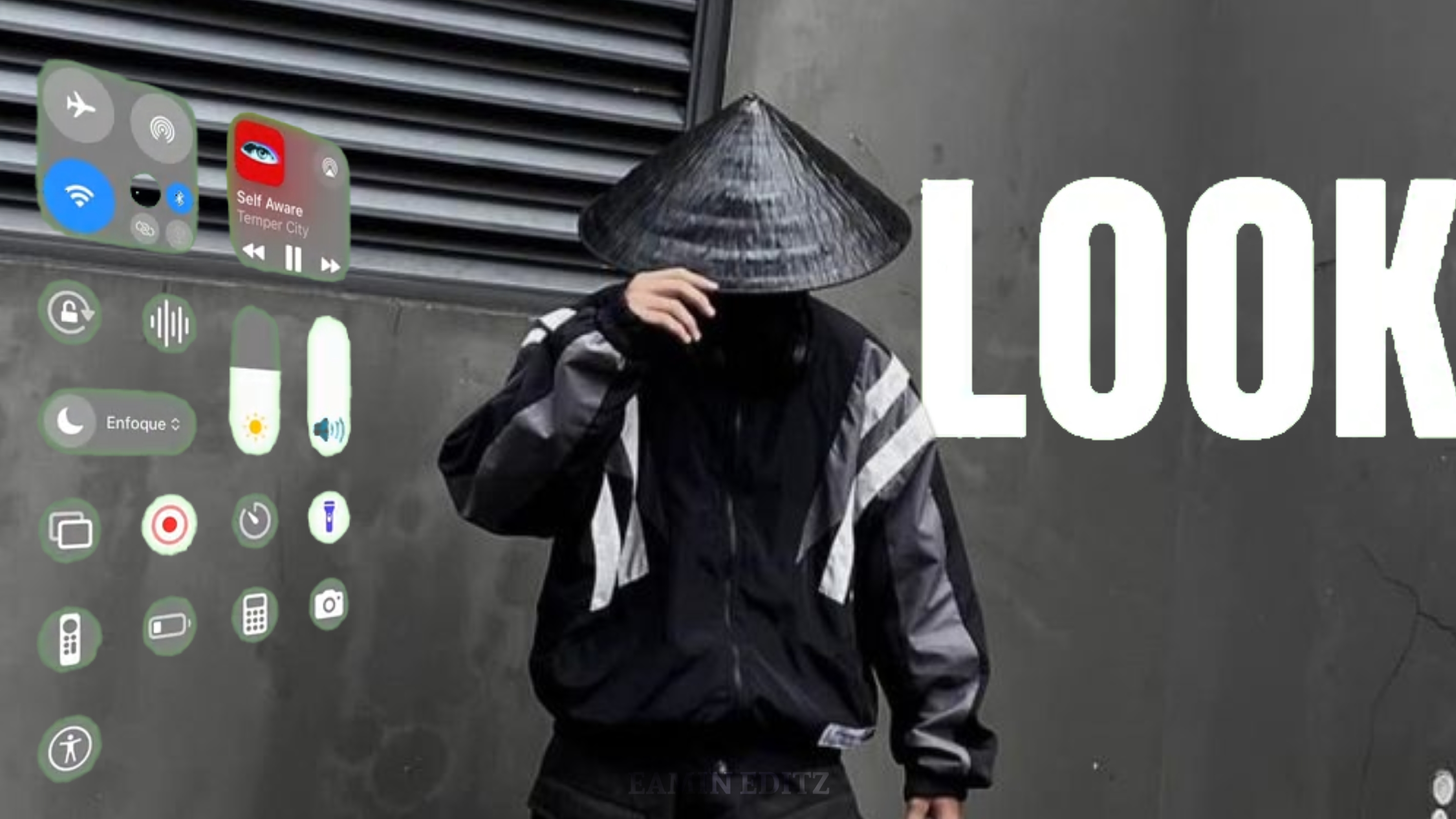 Cover Picture
