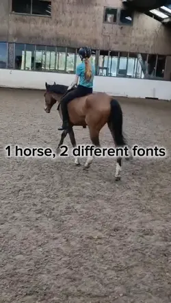 1 horse, 2 sides