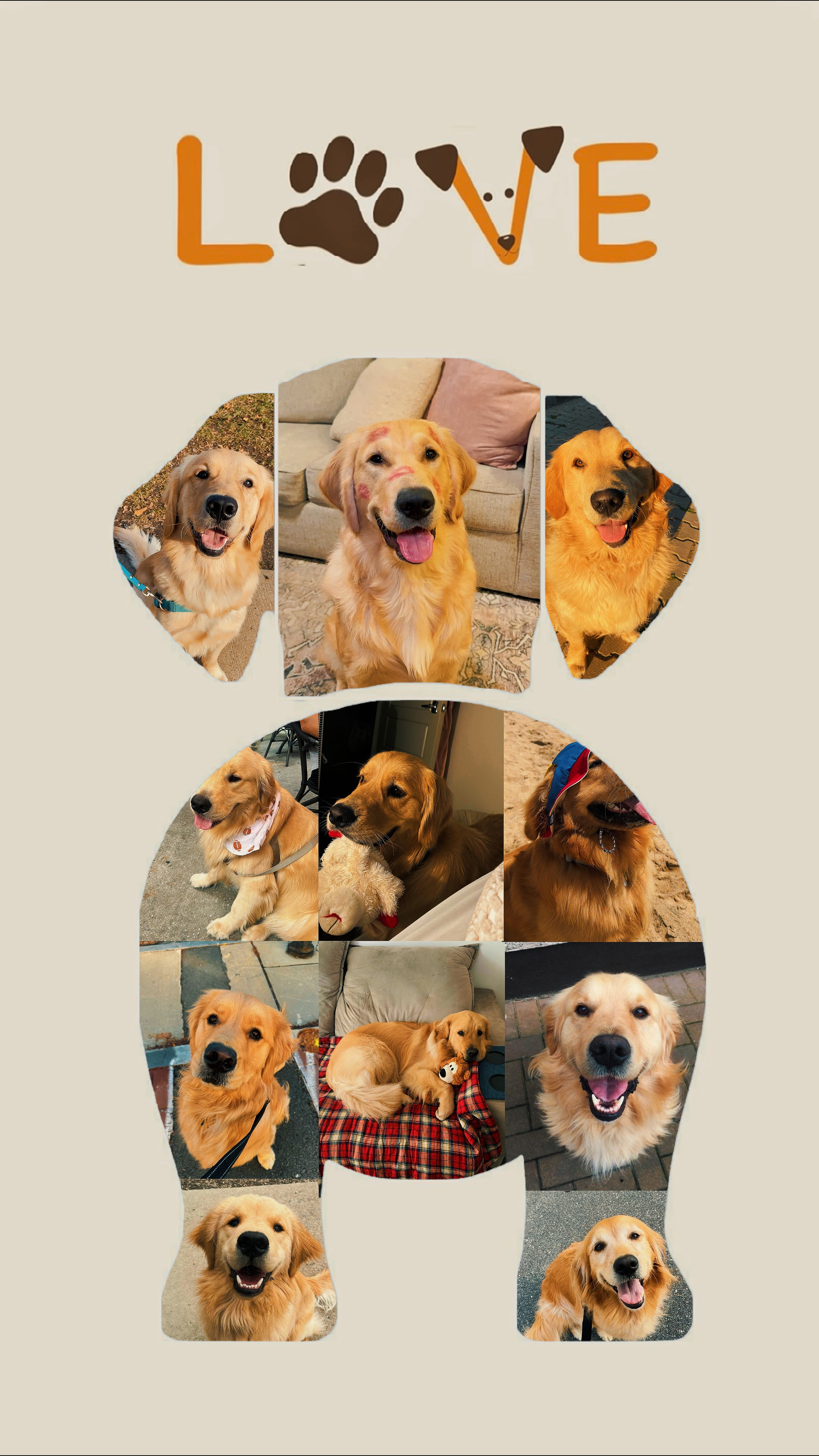 pet love