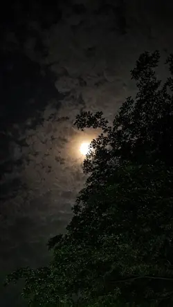 talking to the moon